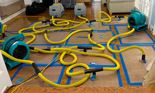 Professional Crawl Space Water Removal technician working in Charlemont, MA